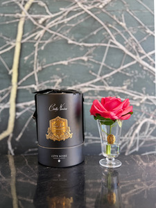 Cote Noire 1: Côte Noire - Charente Rose White Peach in Black Hat Box