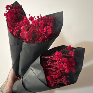 Products: Preserved Red Gypsophila (Babies Breath) The Witchery NZ