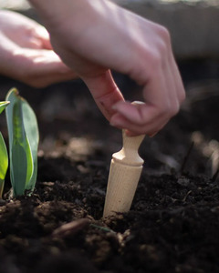 New Arrivals: GARDEN DIBBER