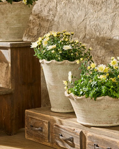 Homeware: WAVY PLANTER VASE