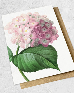 Greeting Card: VINTAGE BOTANICAL - PINK HYDRANGEA GREETING CARD