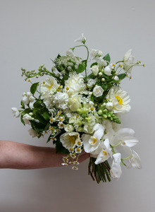 ELOPEMENT PACKAGE