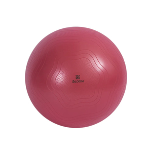 Products: Bloom Mini Pilates Ball 20cm - The Yoga