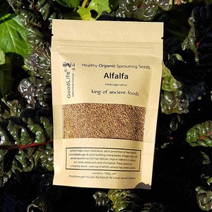 Products: Goodlife Alfalfa Sprouting Seeds - Organic - Think Eco