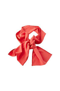 Sash Belt