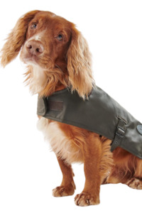 Wax Dog Coat