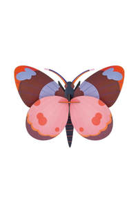 Wall Art Butterflies - Bellissima Butterfly