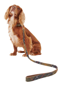 Living: Tartan/Webbing Dog Lead - Classic Tartan