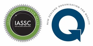 Products: Lean Six Sigma Yellow to Green Belt Upgrade Courses