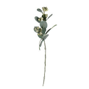 Inspiration Forest Green: Mini Eucalyptus Pod Spray