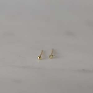 Cinnamon Palette: Blink Studs