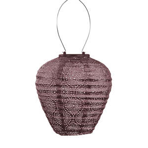 Homeware Gifts: Lantern Balloon 20cm - Plum Occult