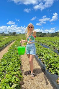 Tops: CINDY CORSET (WATER BABIES)