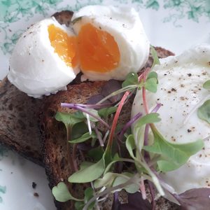 Products: Organic Free Range Eggs Three Oaks Organic