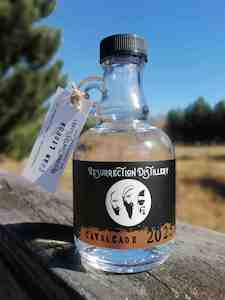 Limited Release: Cavalcade 2025 Limited Editions