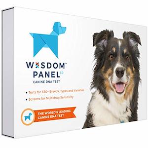 Pet: Wisdom Panel 3.0 Canine DNA Test Kit - Find Your Dog's Breed and Ancestry Information