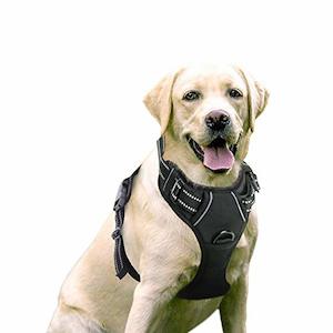 Pet: Rabbitgoo Dog Harness, No-Pull Pet Harness with (2 Leash Clips), Adjustable Soft Padded Vest (Reflective, No-Choke, Oxford), Easy Control Handle for Large Dogs, Black, L