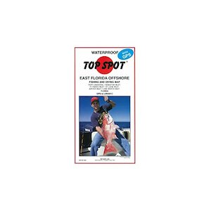 Aviation Gps: Top Spot Map Florida (N220)