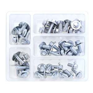 Bolt Workshop Service Kit: M6 Hex Flange / Washer