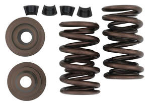 Engine 1: KEDO racing valve springs