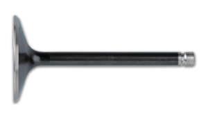 Engine 1: Intake Valve  TT XT 500