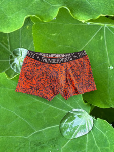 Chrysanthemum: Kids Boxer Chrysanthemum - medium only