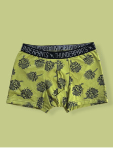 All: Pouch Boxer Artichokes
