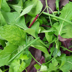 Herbs: Gourmet Herb Mix