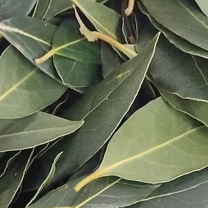 Herbs: Bay Leaves