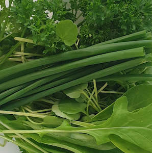 Herbs: Salad Herbs