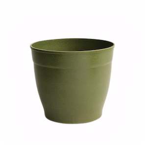 Kiwi Series: Canterbury 11.7-30.5cm Biodegradable plant pots
