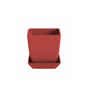 Tasman - 8.7cm square Biodegradable plant pots
