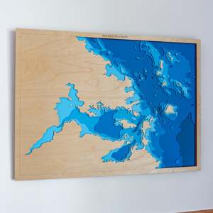 New Zealand Coastlines: Paterson Inlet — Large