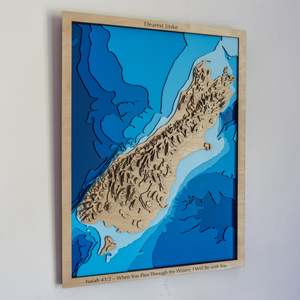 Workshop Sale: Workshop Sale - South Island - Medium