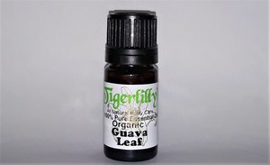 Guava Leaf Essential Oil – Organic