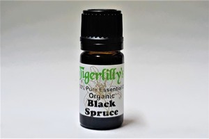 Essential Oils: Spruce Black Essential Oil – Organic