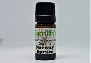 Essential Oils: Spruce Norway Essential Oil – Organic