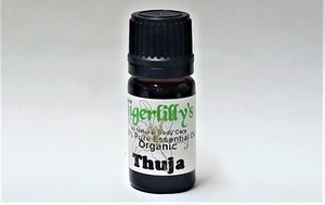 Essential Oils: Thuja Essential Oil – Organic