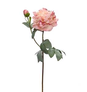 Furniture: Dorset Peony - Aged Pink