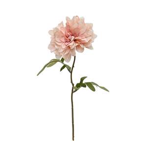 Furniture: Cottage Dahlia - Pink
