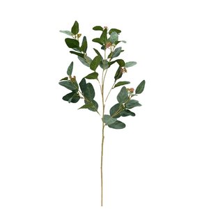 Furniture: Seeded Gum - Sage Green