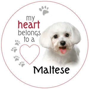 New Stock: Maltese Piece of My Heart Magnet