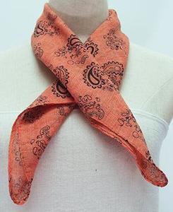 Scarves: Orange Paisley Scarf