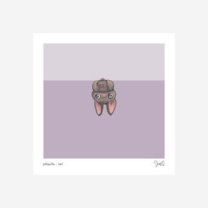 Te Reo Maori: Print - Pekapeka - Bat