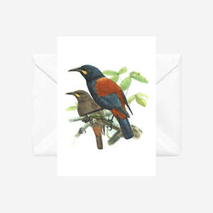 Johannes Keulemans - Cards - South Island Saddleback - Tieke and North Island Sa&hellip;