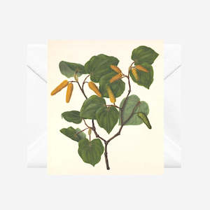 Sarah Featon - Cards - Kawakawa - 6 Pack