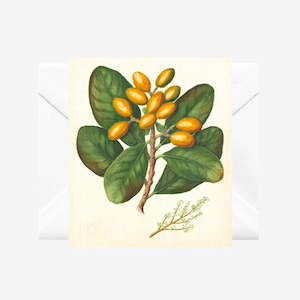 Sarah Featon - Cards - Karaka - 6 Pack