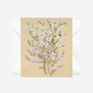 Sarah Featon: Sarah Featon - Cards - Manuka - 6 Pack