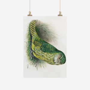 George Lodge - Tea Towel - Kakapo