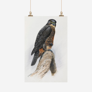 Te Papa: George Lodge - Tea Towel - Falcon